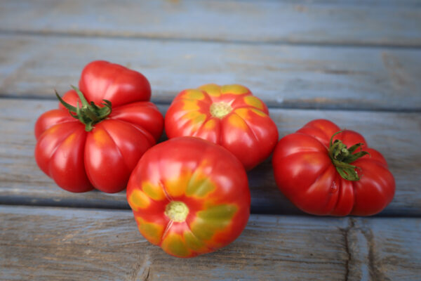 Marmande