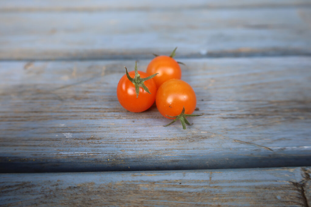 Urtomate