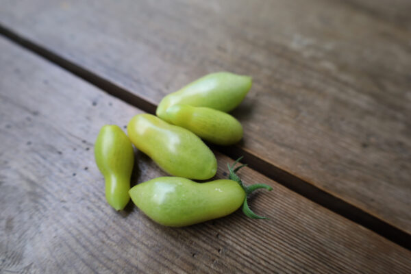 Dancing green fingers – Bild 4