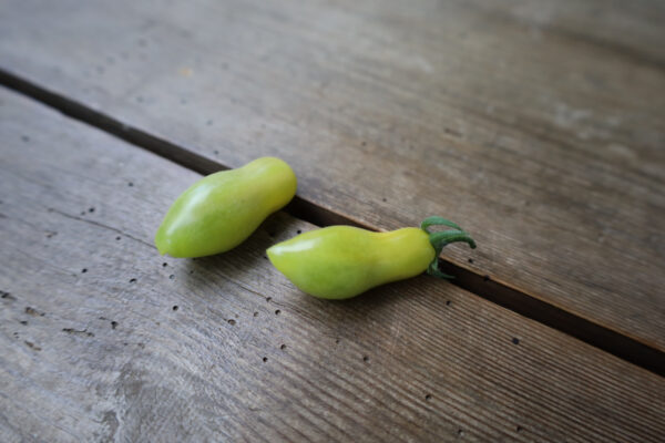 Dancing green fingers