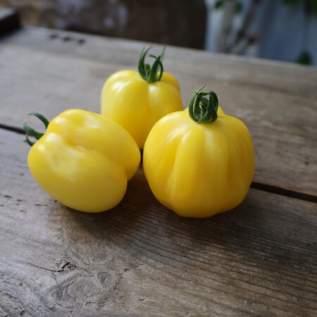 Douchoa Pepper