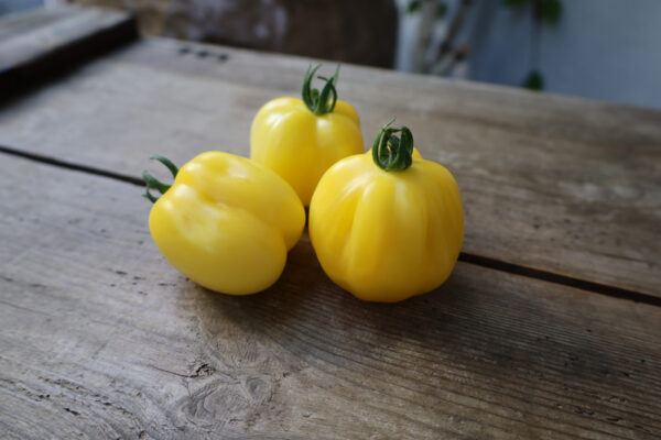 Douchoa Pepper