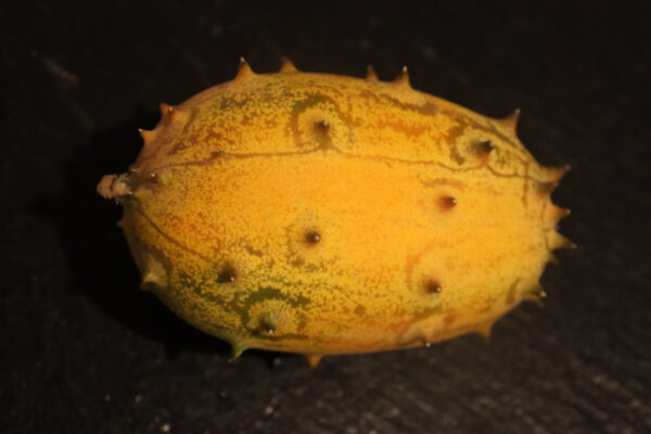 Kiwano