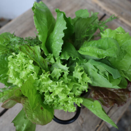 Salat-Mix